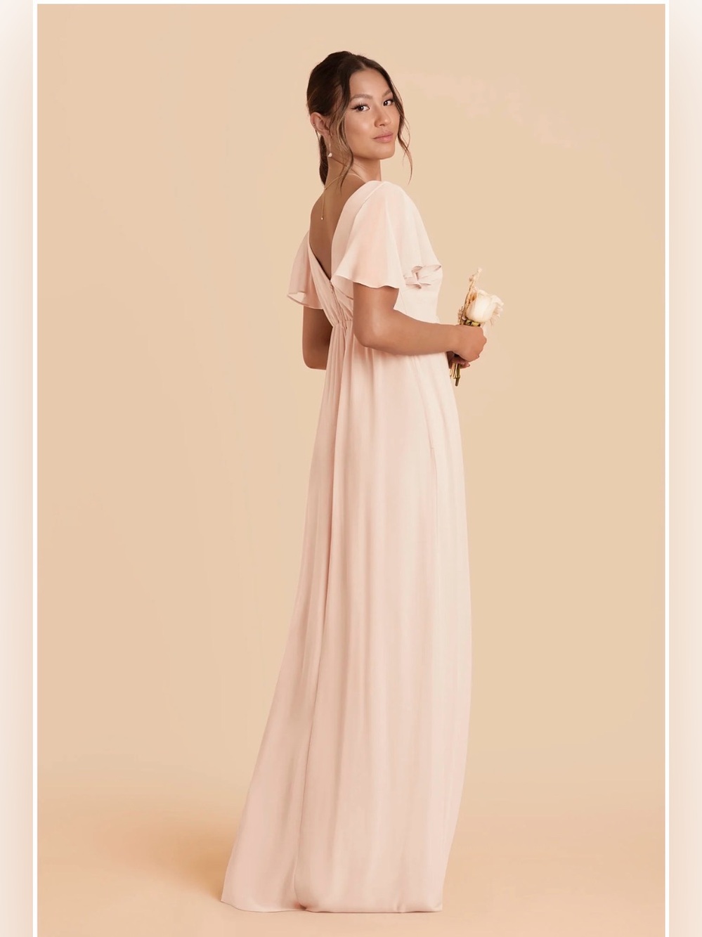 Birdy Grey Pale Blush Hannah Chiffon Dress - Picture 2 of 2